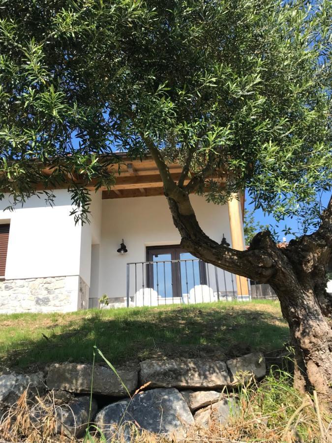Willa La Casina Del Olivo Ribadesella Zewnętrze zdjęcie